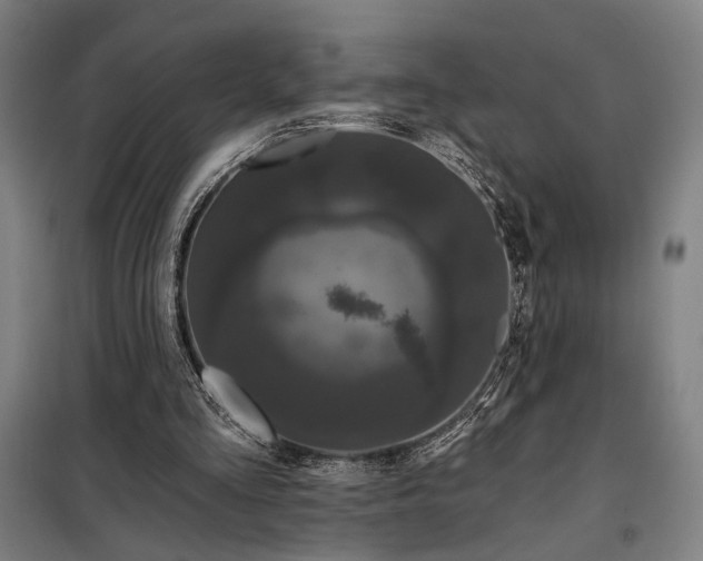 X0000097990293200804021014