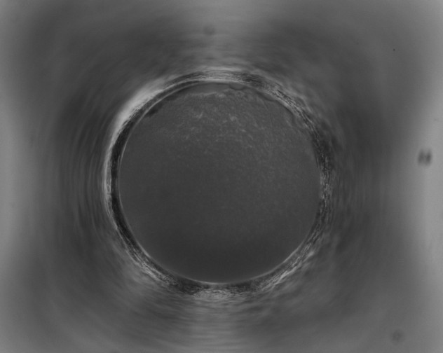 X0000097990294200804021014