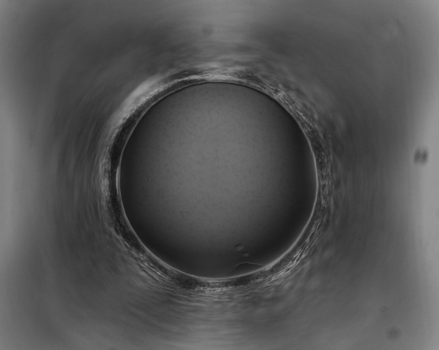 X0000097990295200804021014