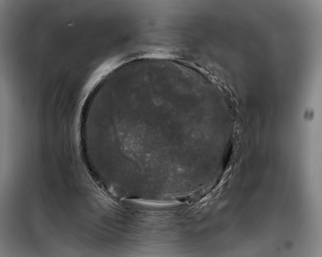 X0000097990296200804021014