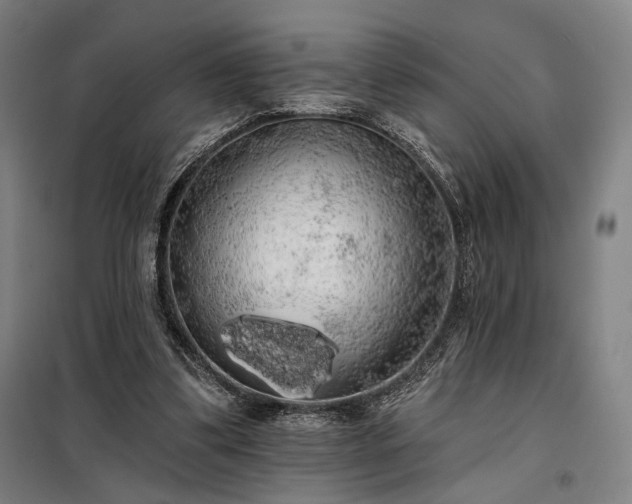 X0000097990299200804021014