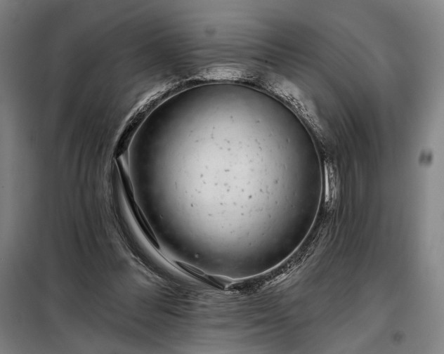 X0000097990300200804021014