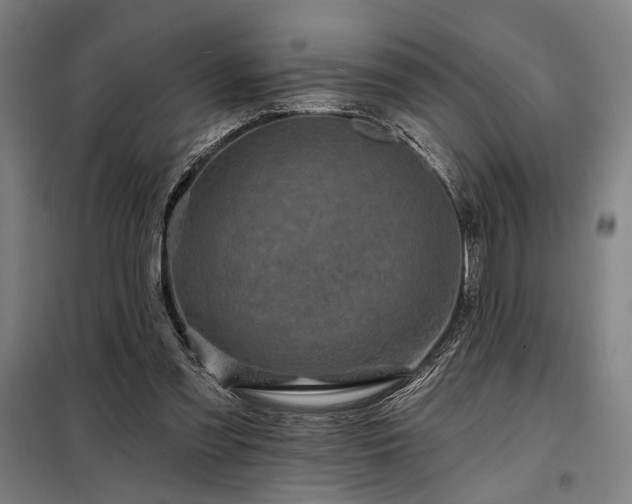 X0000097990301200804021014