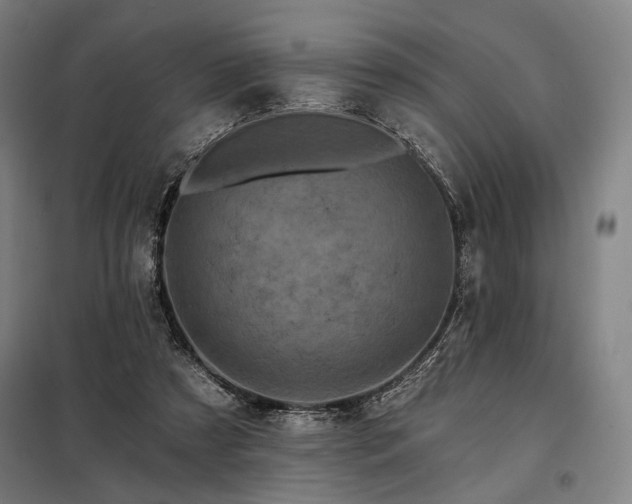 X0000097990305200804021014