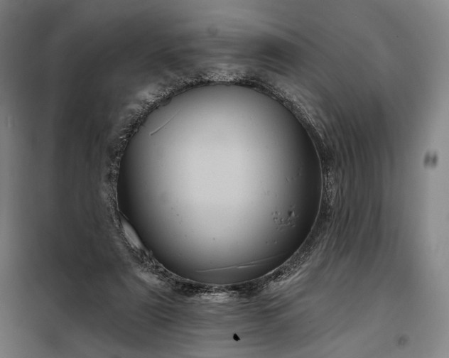 X0000097990307200804021014