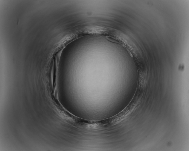 X0000097990309200804021014