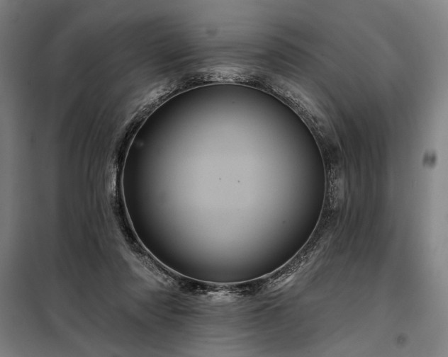 X0000097990310200804021014