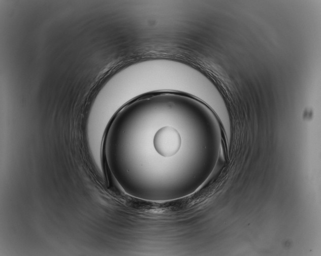 X0000097990312200804021014