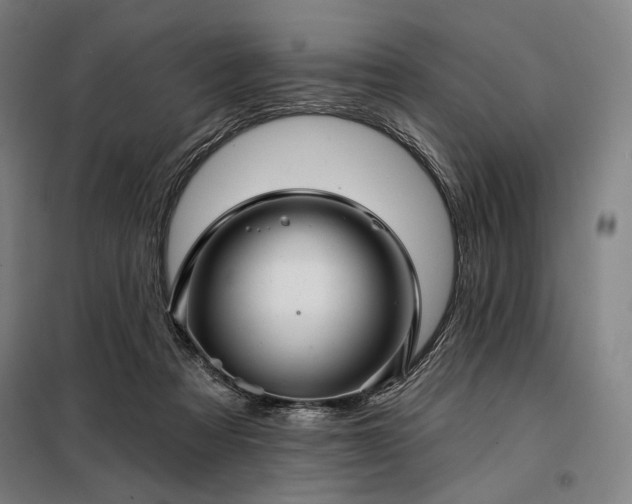 X0000097990313200804021014