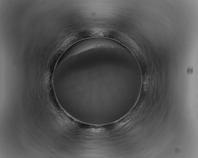 X0000097990314200804021014