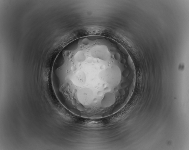 X0000097990315200804021014