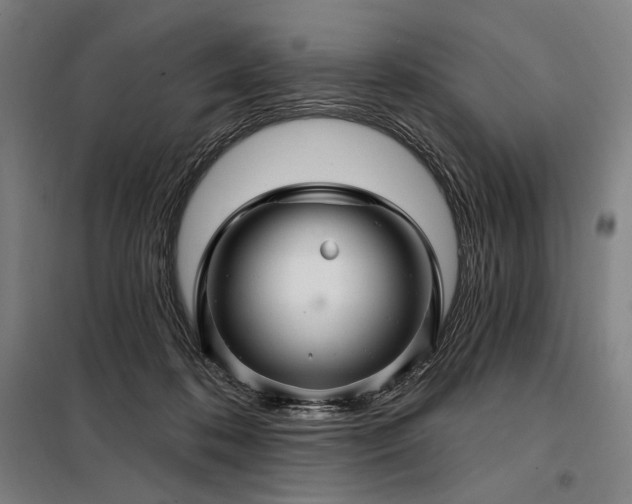 X0000097990316200804021014