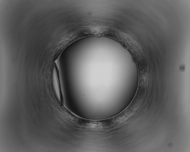 X0000097990317200804021014