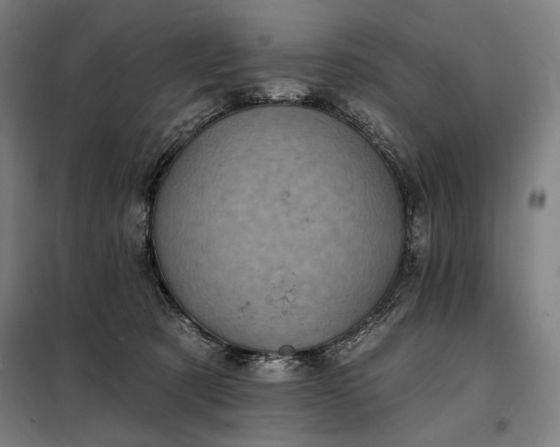 X0000097990321200804021014