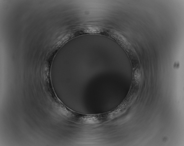 X0000097990322200804021014