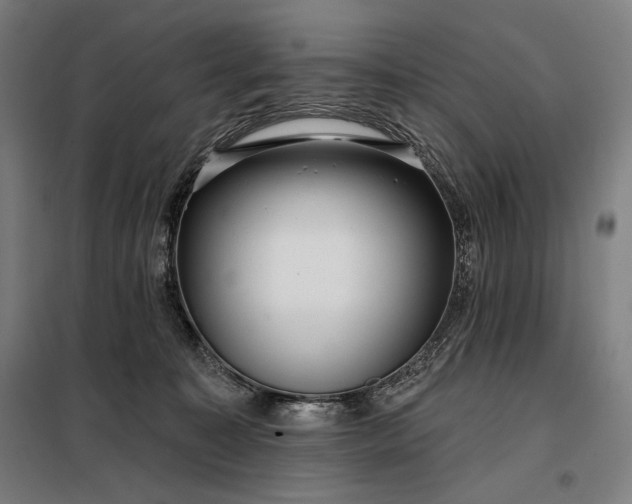 X0000097990323200804021014