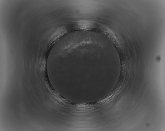 X0000097990325200804021014