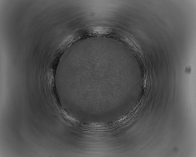 X0000097990328200804021014