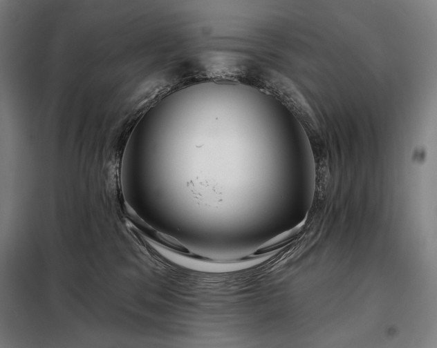 X0000097990329200804021014