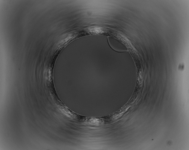 X0000097990330200804021014