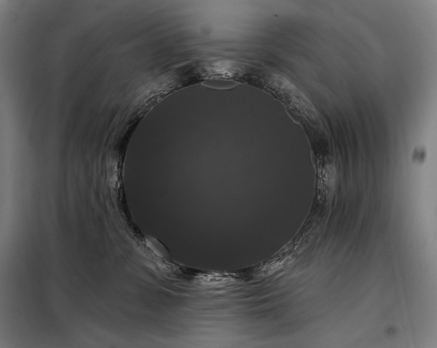 X0000097990331200804021014