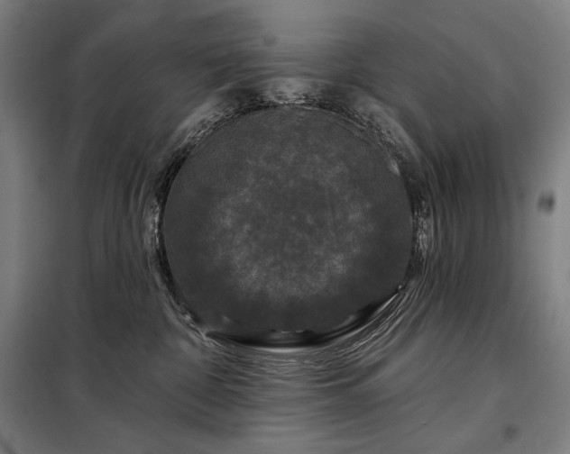X0000097990332200804021014