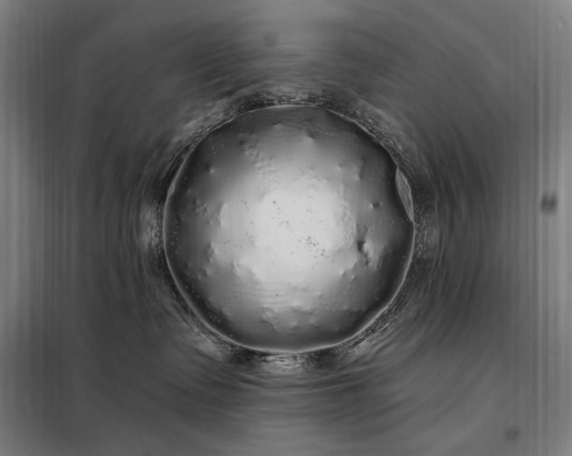 X0000097990335200804021014