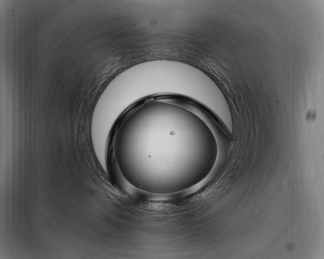 X0000097990336200804021014