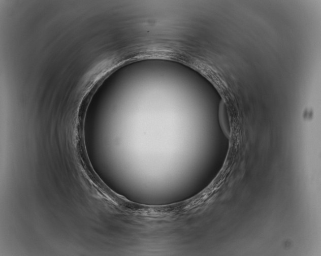X0000097990338200804021013
