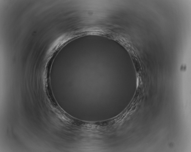X0000097990339200804021013