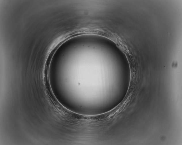 X0000097990340200804021013
