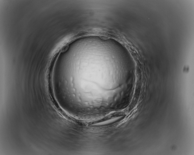 X0000097990341200804021013
