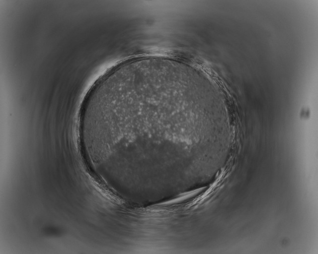 X0000097990342200804021013