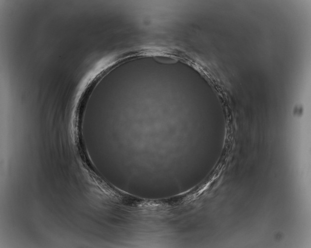 X0000097990343200804021013