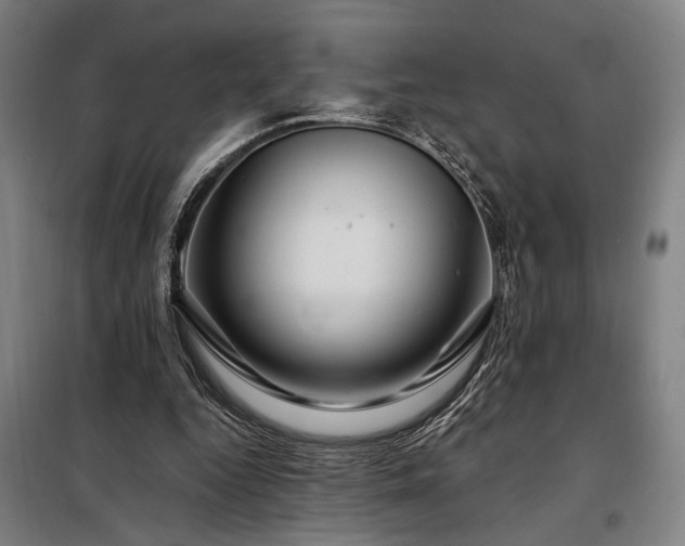 X0000097990344200804021013