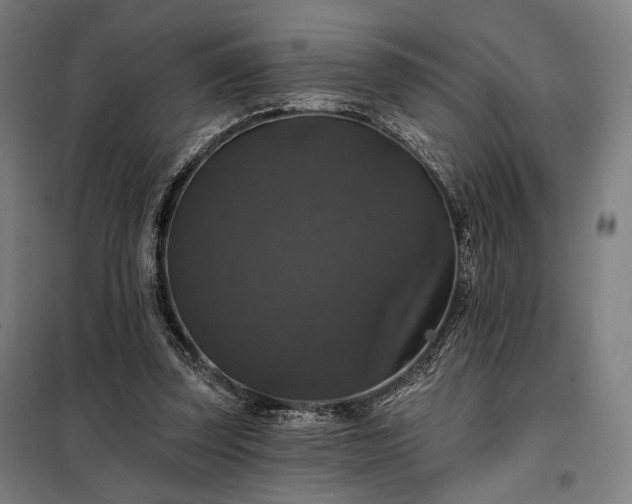 X0000097990347200804021013