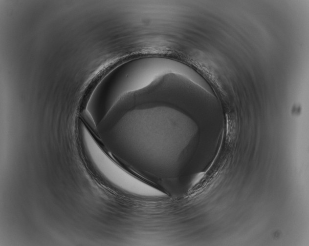 X0000097990348200804021013