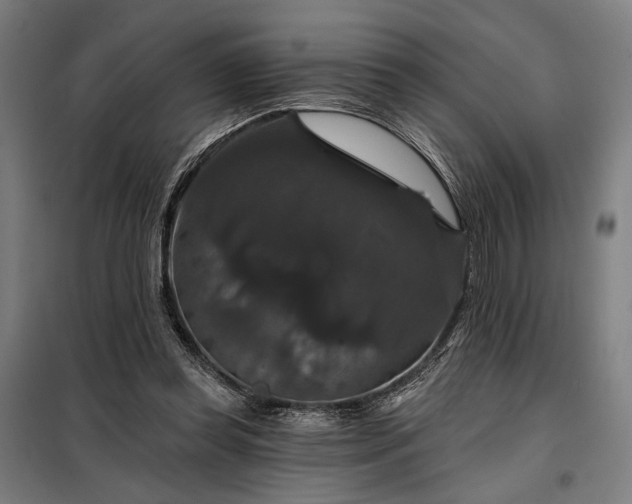 X0000097990349200804021013