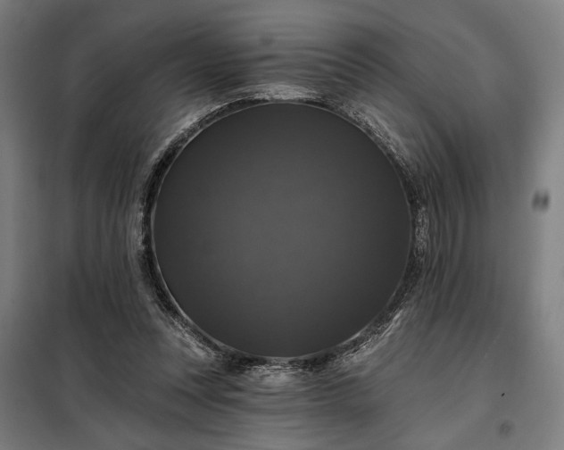 X0000097990351200804021013