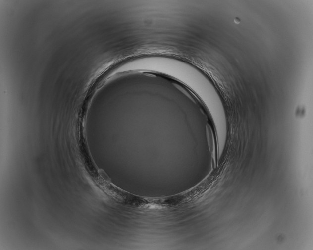 X0000097990352200804021013