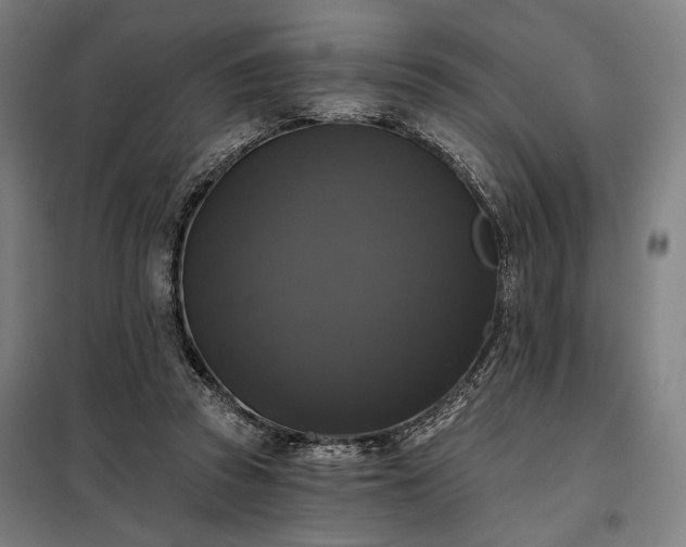 X0000097990353200804021013
