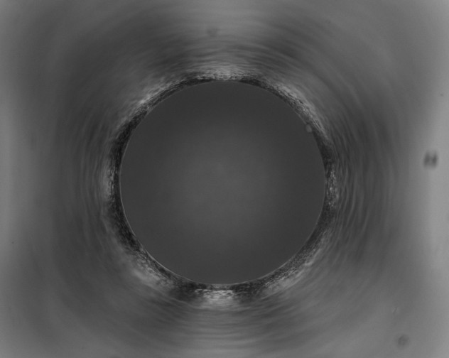 X0000097990355200804021013