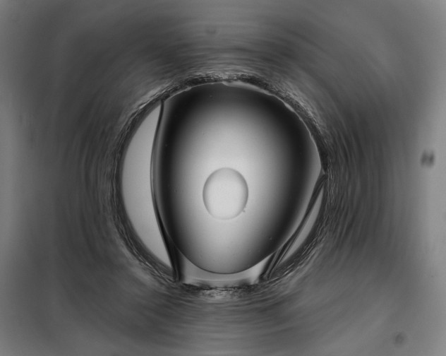 X0000097990356200804021013