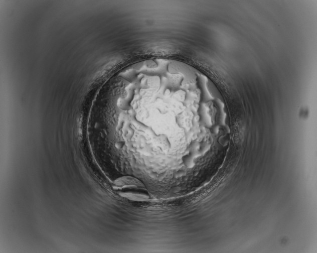 X0000097990358200804021013