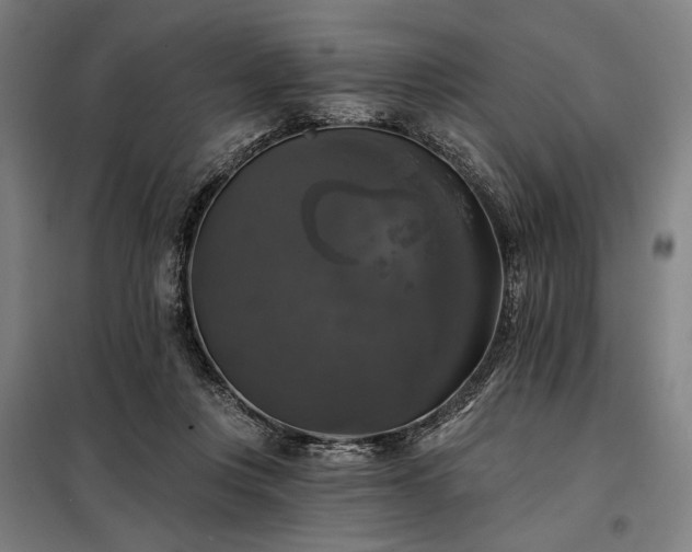 X0000097990359200804021013