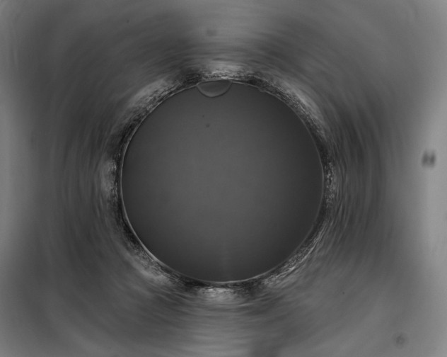 X0000097990361200804021013
