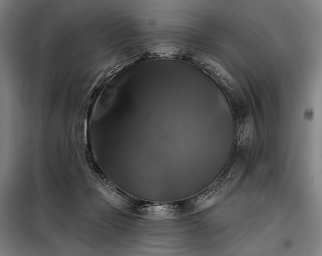 X0000097990365200804021014