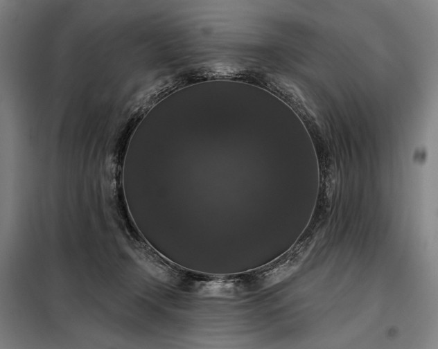 X0000097990366200804021014