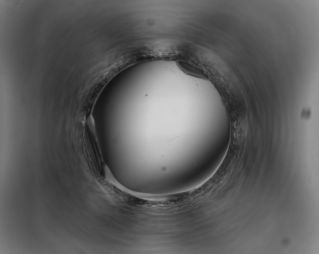 X0000097990368200804021014