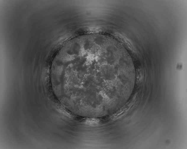 X0000097990369200804021014